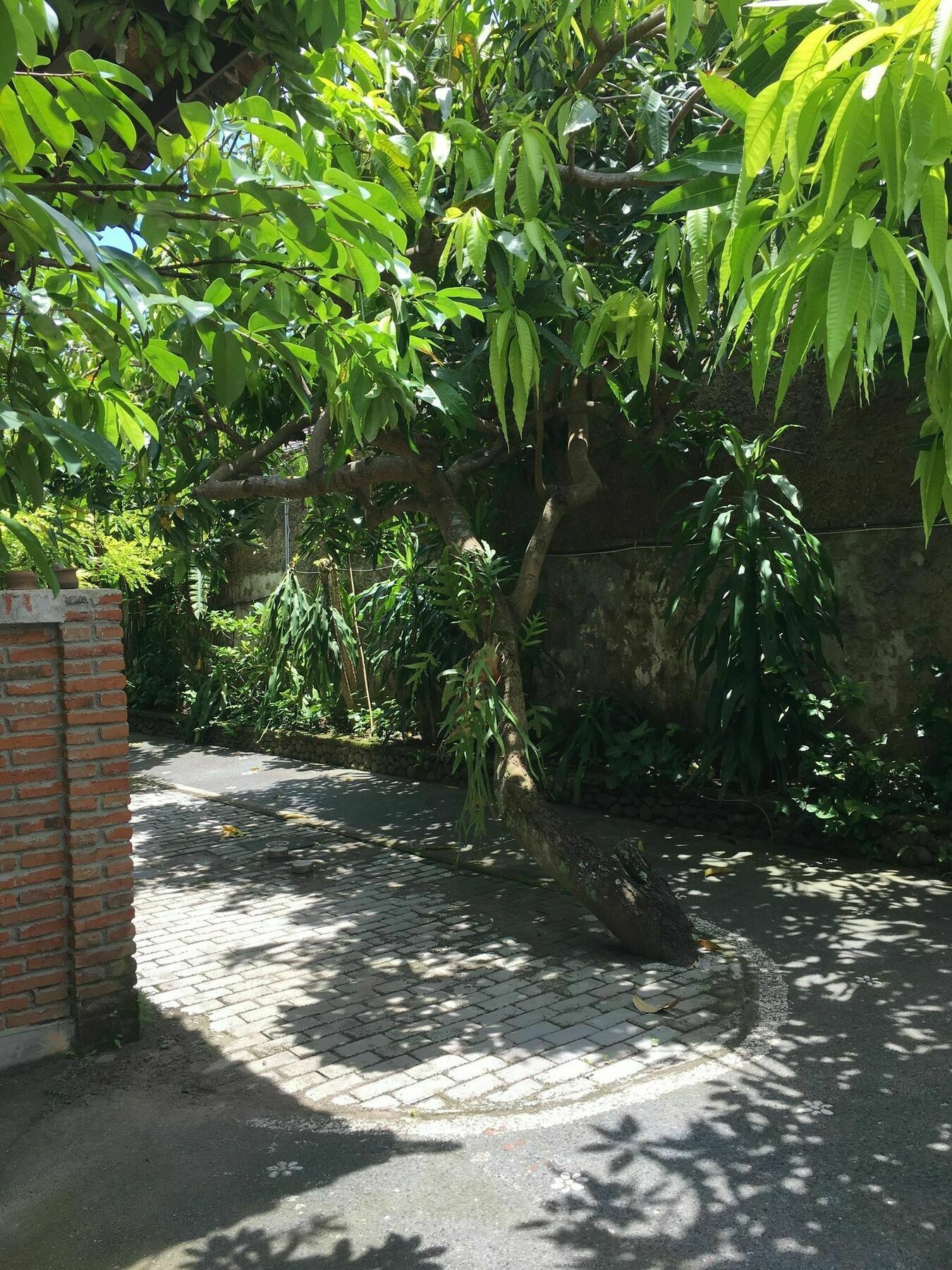 Cafe Wayan & Cottages Mangsit Exterior photo